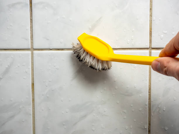 Best Local Mold Removal Service  in Gerber, CA