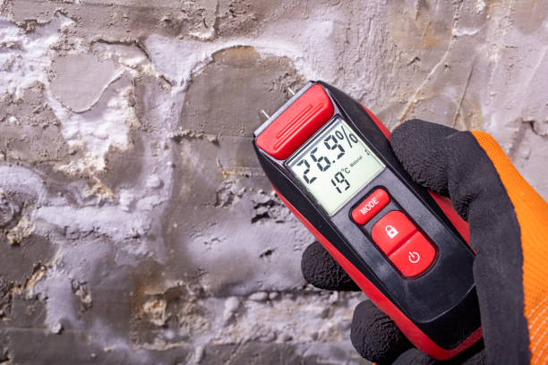 Best Crawl Space Mold Removal  in Gerber, CA