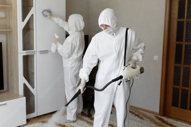 Best Commercial Mold Removal  in Gerber, CA