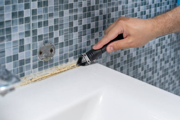 Best Mold Removal Company Near Me  in Gerber, CA