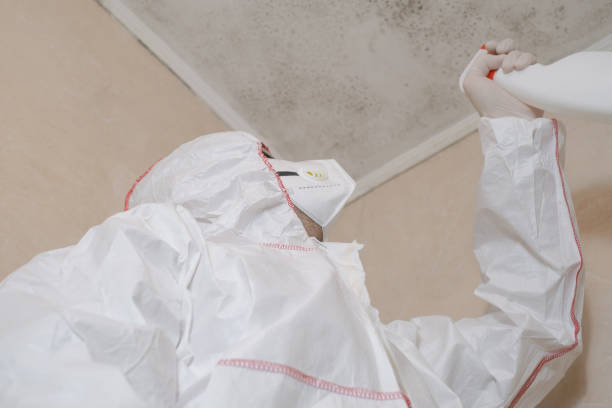 Best Home Mold Removal  in Gerber, CA