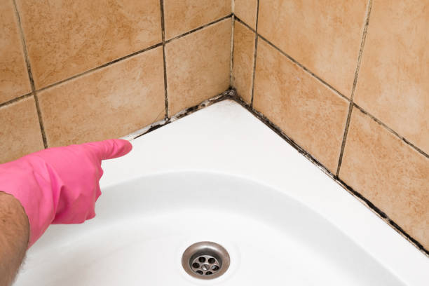 Best Attic Mold Removal  in Gerber, CA